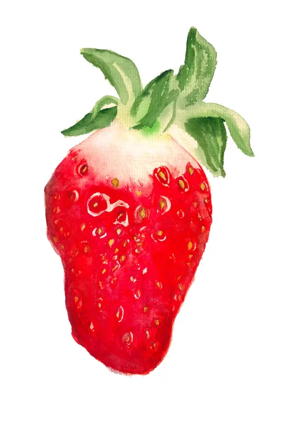 Akvarell bild av jordgubb — Stockfoto