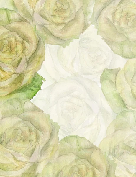 Weiße Rose Hintergrund — Stockfoto