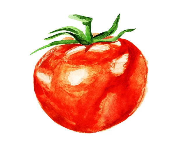 Akwarela pomidor — Zdjęcie stockowe