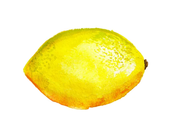 Акварель лимон — стокове фото