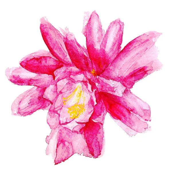 Czerwony ilustracja kwiat — Zdjęcie stockowe