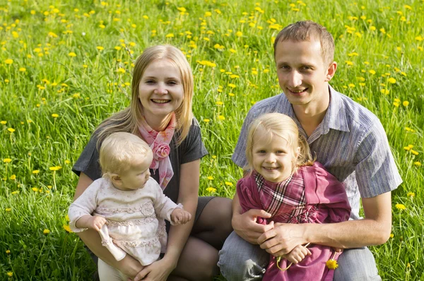 Rodina na pozadí trávy — Stock fotografie