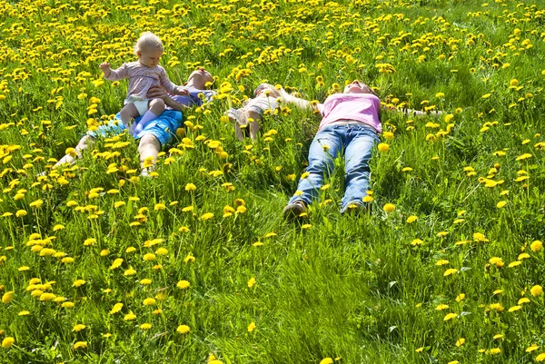 Família feliz deitada na grama — Fotografia de Stock
