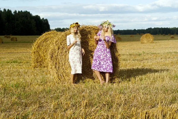 Två flickor i ett fält nära höstackar — Stockfoto