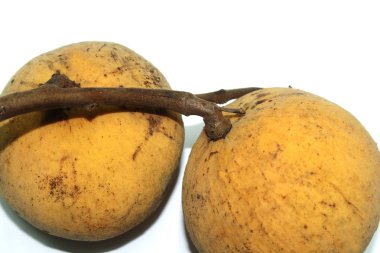 Meyve: Santol