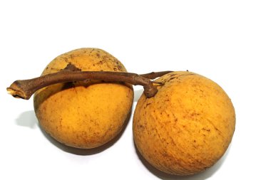 Meyve: Santol