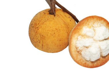 Meyve: Santol