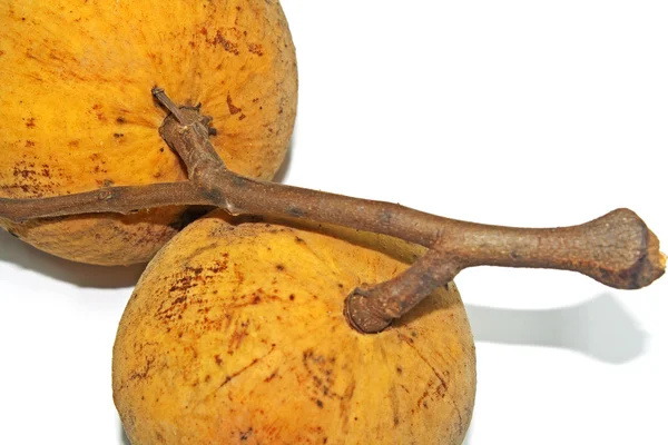 Fruit : The santol — Stock Photo, Image
