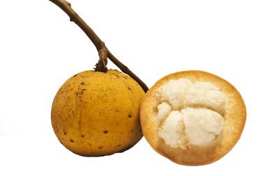 Meyve: Santol