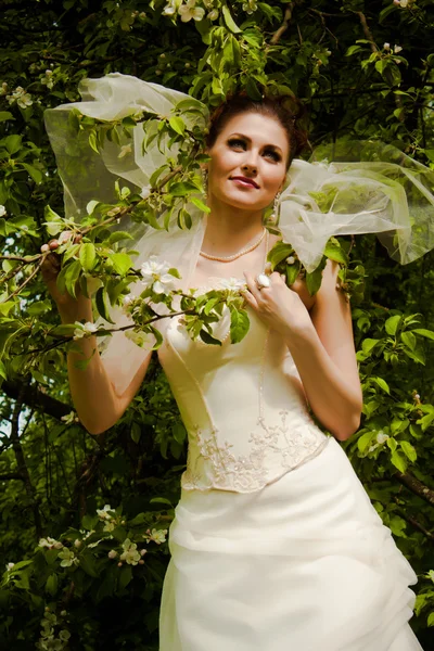 美丽的新娘与绿叶 — 图库照片