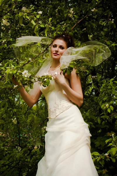Mooie bruid met groen blad — Stockfoto