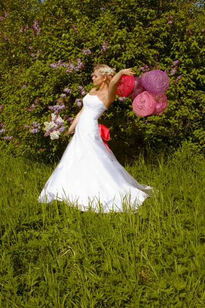 Una bella giovane sposa — Foto Stock
