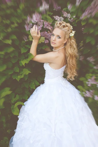 Schöne Mädchen in einem Hochzeitskleid mit Flieder — Stockfoto