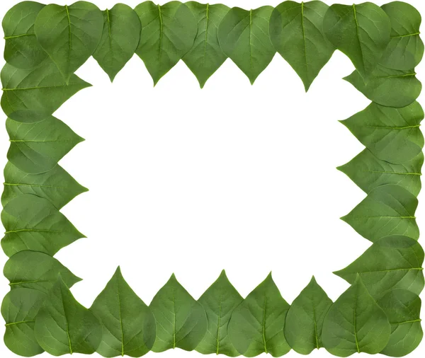 Lilac leaf frame — Stock Photo, Image
