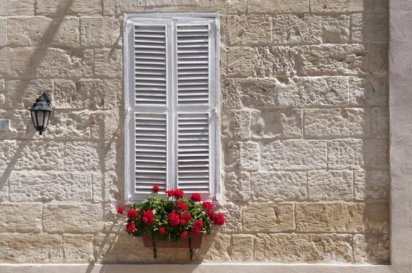 Window with white shutters — Stock Photo, Image