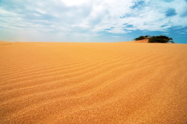 Taroa піску, дюни — стокове фото