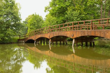 Wooden bridge over a quiet river clipart