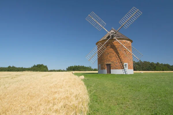 トウモロコシのフィールドにれんが造りの風車. — ストック写真