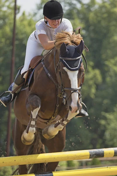 Mooie sprong met paard — Stockfoto