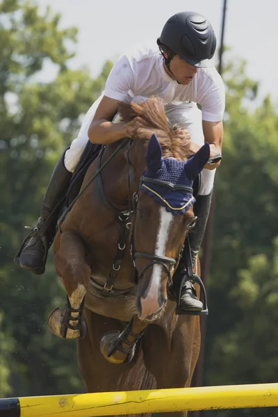 Cavaliere equestre salta — Foto Stock