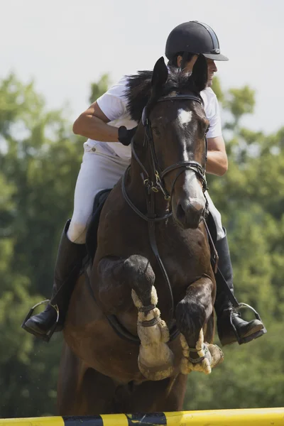 Equestrian race — Stock Photo, Image