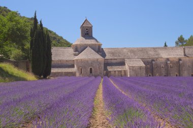 Sénanque Abbey (Provence, France) clipart