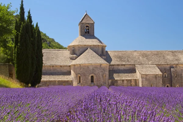Abtei von Sénanque (Provence, Frankreich) — Stockfoto