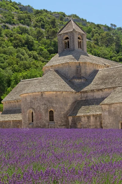 Sénanque Abbey (Provence, France) — Φωτογραφία Αρχείου