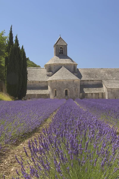 Abadía de Sénanque (Provenza, Francia) ) — Foto de Stock