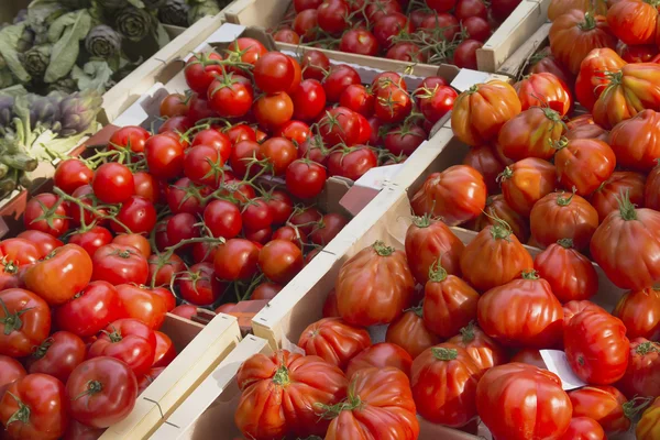 Tomatoes at the market — Stock Photo, Image