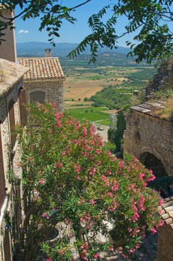 Provence kırsal görünümü.