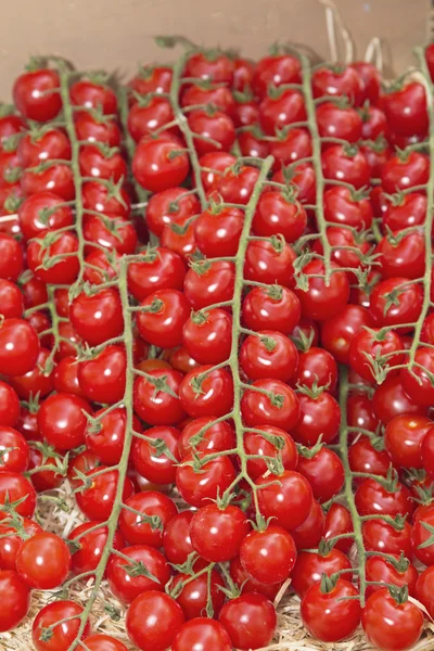 Veelheid van cherry tomaten op de markt — Stockfoto