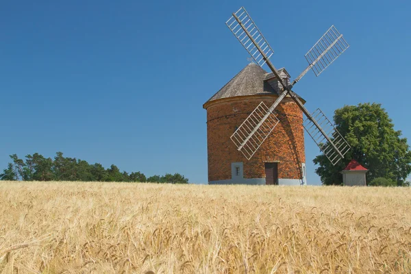 トウモロコシのフィールドにれんが造りの風車. — ストック写真