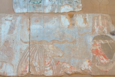 korunmuş renkli hiyeroglif (kalabsha, Mısır)