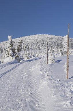 dağlarda cross country kayak yolu