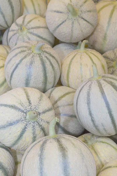 Cantaloupe melons at the market — Stock Photo, Image