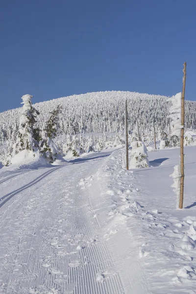 Caminho de esqui cross country nas montanhas — Fotografia de Stock