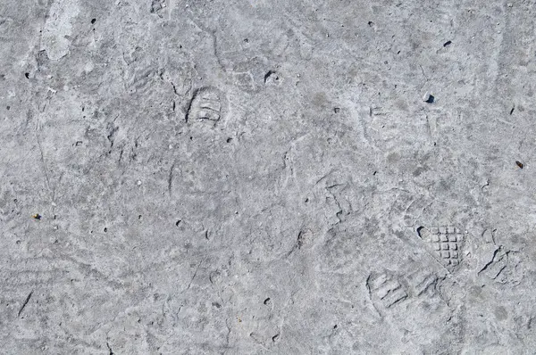 stock image Grunge concrete texture