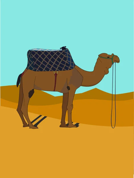 Wielbłąd na pustyni — Wektor stockowy