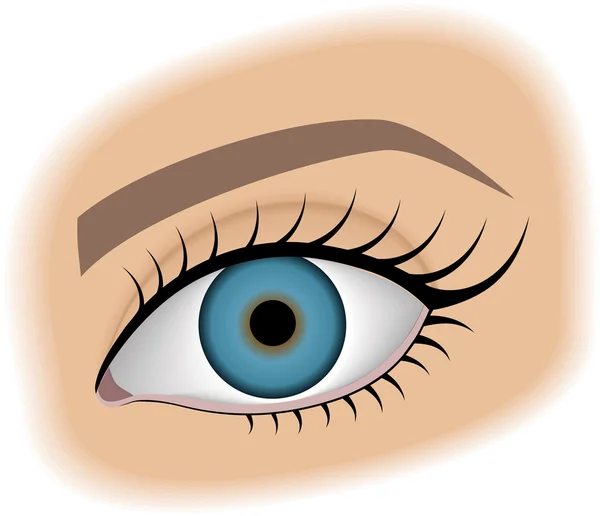 Je ženské oko bez make-upu — Stockový vektor