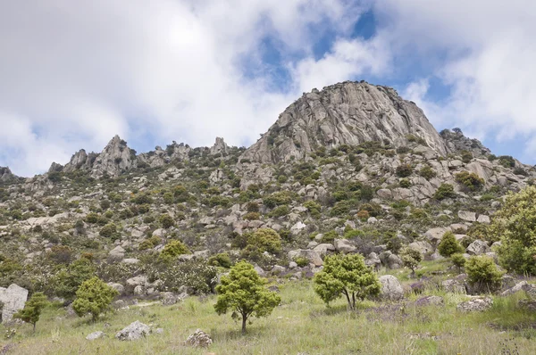 Pico de la Miel (honing Peak) — Stockfoto