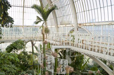 Palm House, Kew Gardens, London clipart