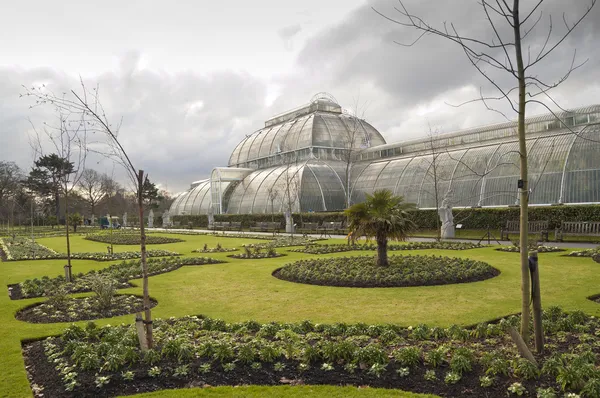 Kew gardens, Londyn — Zdjęcie stockowe