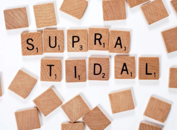New phrase: Supratidal — Stock Photo, Image