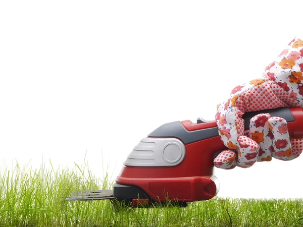 Grass trimming — Stock Photo, Image