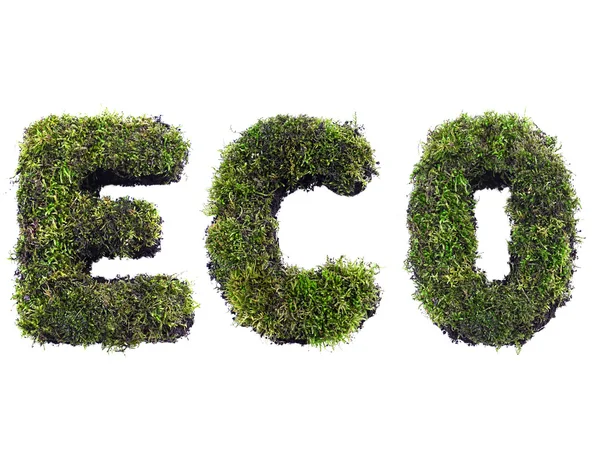 Eco ord — Stockfoto