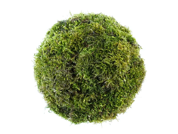 Moss esfera — Foto de Stock