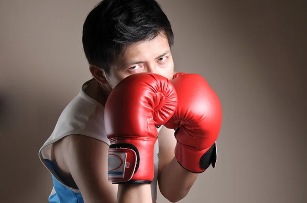 Boxer no boxe — Fotografia de Stock