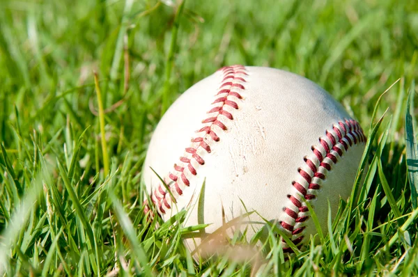 stock image Baseball