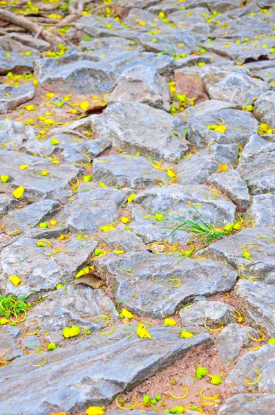 Stock image Rock background